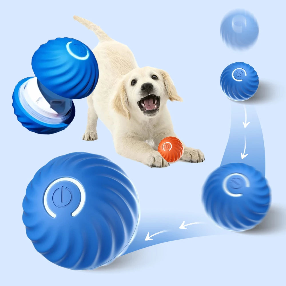 Power Dog Ball