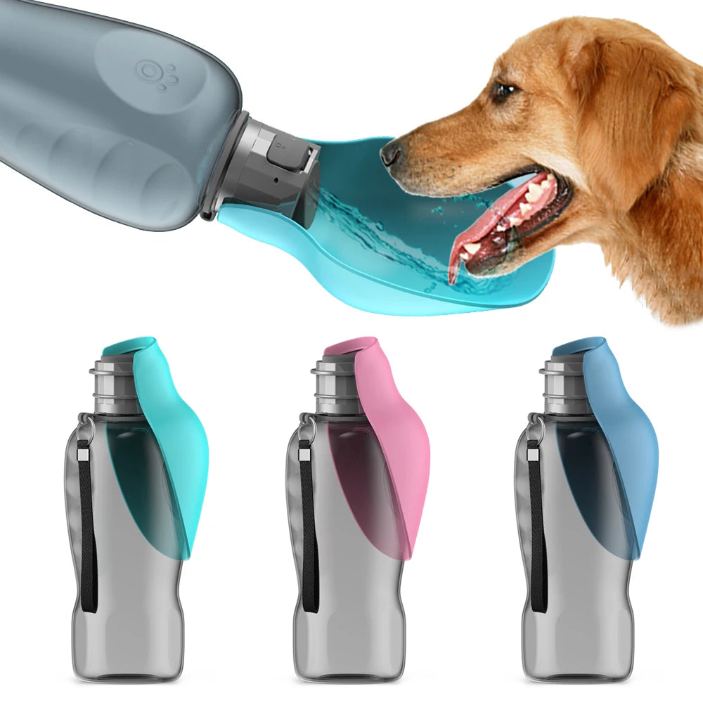 Dog Bottle